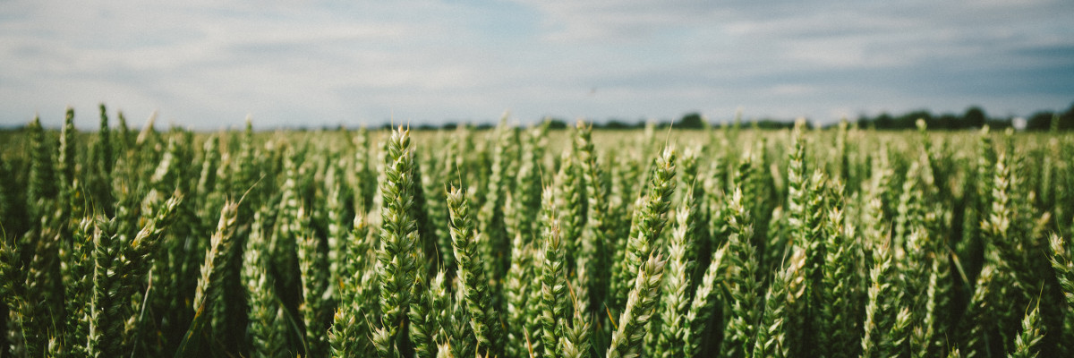 Games and groundwater governance