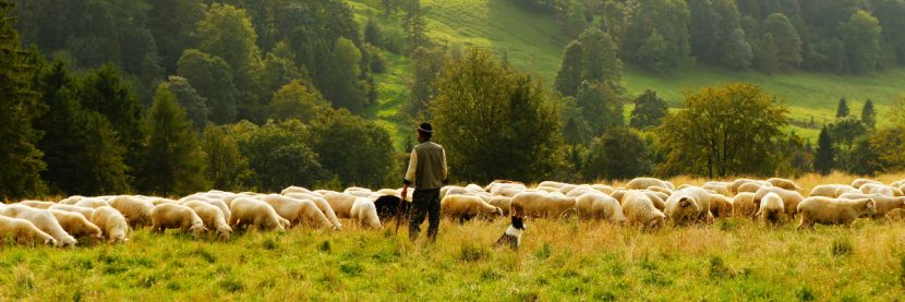 Rationality. Common-pool resources.