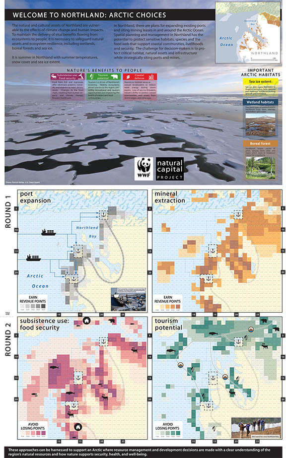 Northland Arctic Choices Gameboard