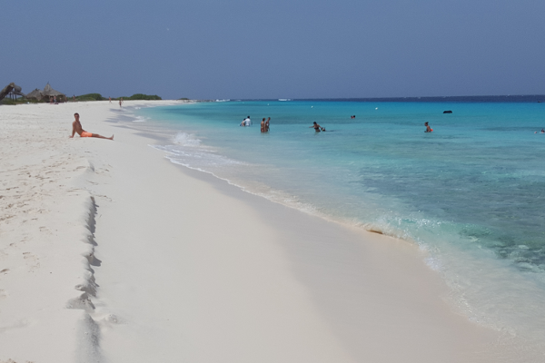 Coasting through environmental change - Games4Sustainability